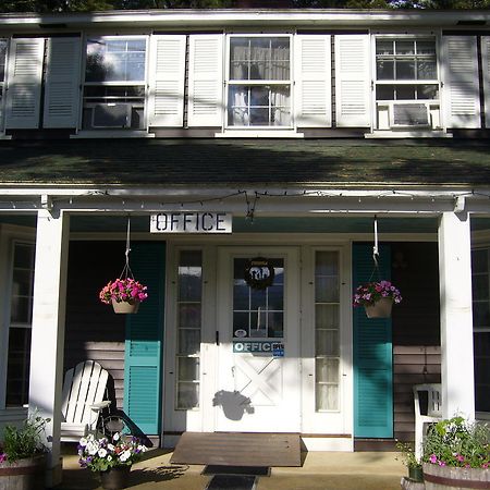 White Trellis Motel ノース・コンウェー エクステリア 写真