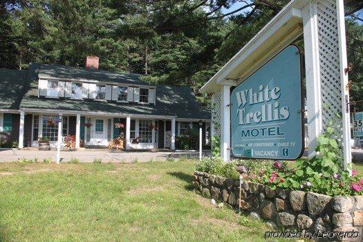 White Trellis Motel ノース・コンウェー エクステリア 写真
