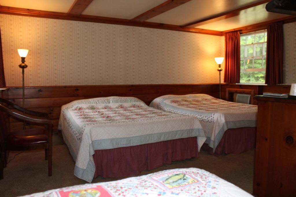 White Trellis Motel ノース・コンウェー 部屋 写真