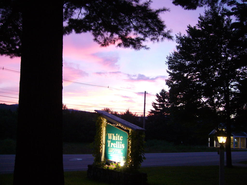 White Trellis Motel ノース・コンウェー エクステリア 写真